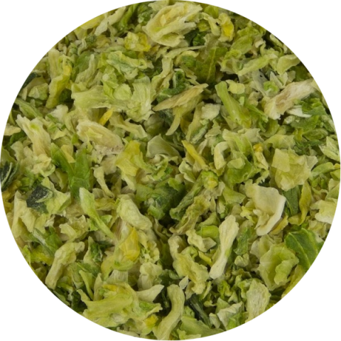 Cabbage
