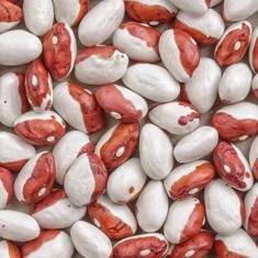Royal beans