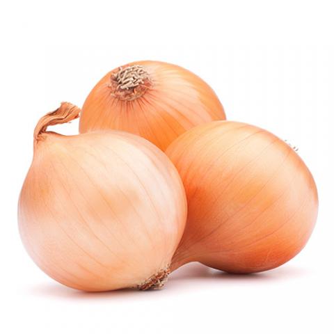 Лук